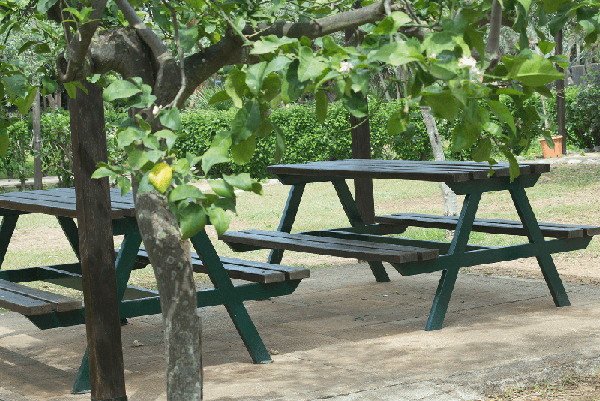 Bioparco di Sicilia - Aree picnic